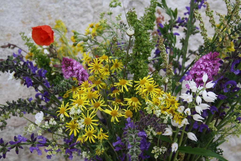 La Perle Du Lot Bed and Breakfast Castelnau-Montratier Exterior foto